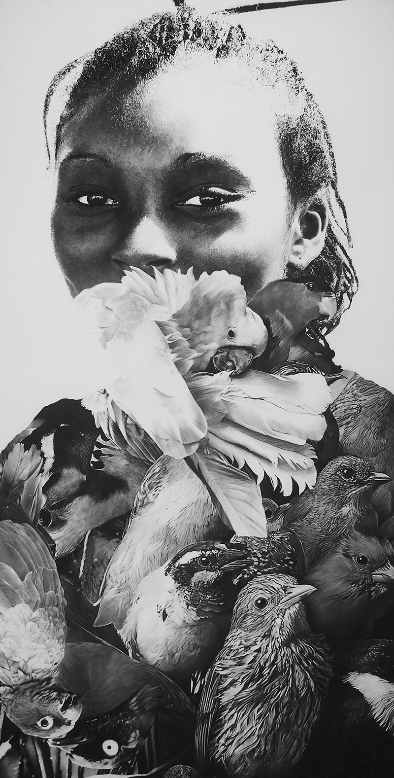 Black birds